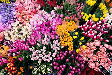 《美德传奇f Remastered》首支宣传视频 2025年1月26日发售